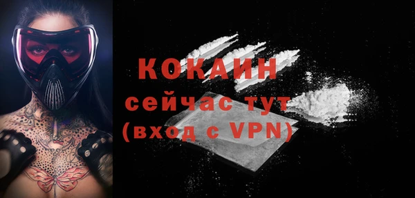молекула духа Балахна
