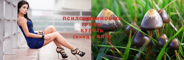 молекула духа Балахна