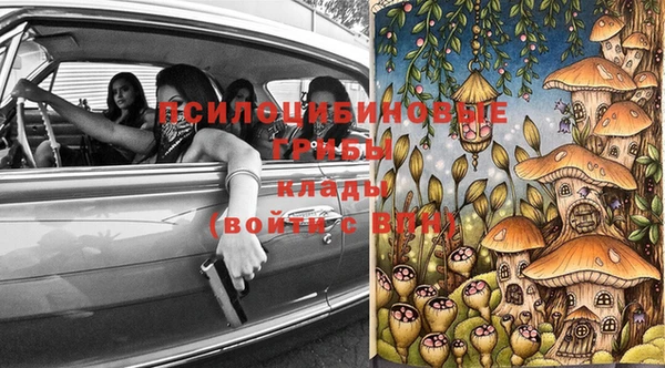 молекула духа Балахна