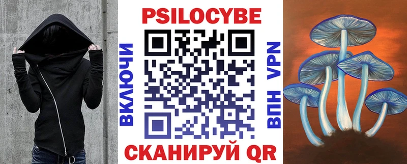 kraken сайт хочу наркоту Яхрома Псилоцибиновые грибы Cubensis